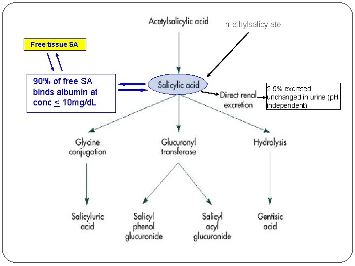 methylsalicylate Free tissue SA 90% of free SA binds albumin at conc < 10
