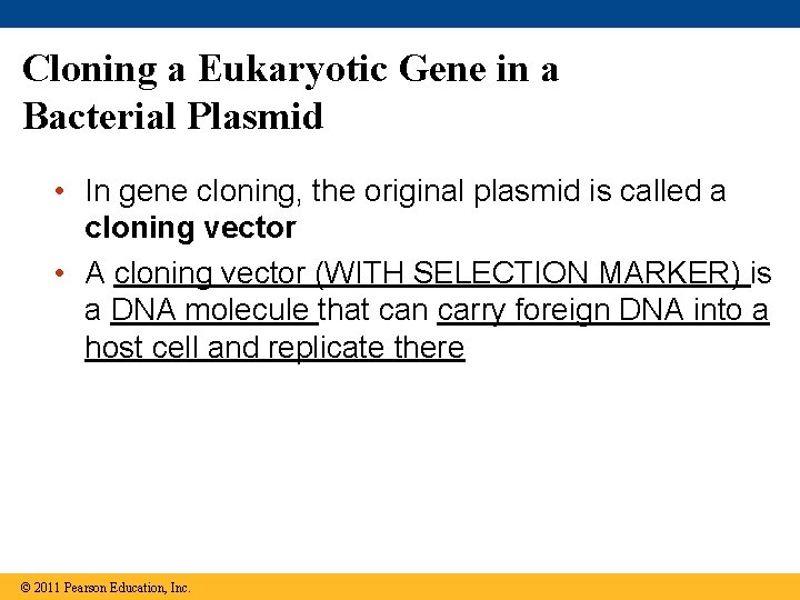 Cloning a Eukaryotic Gene in a Bacterial Plasmid • In gene cloning, the original