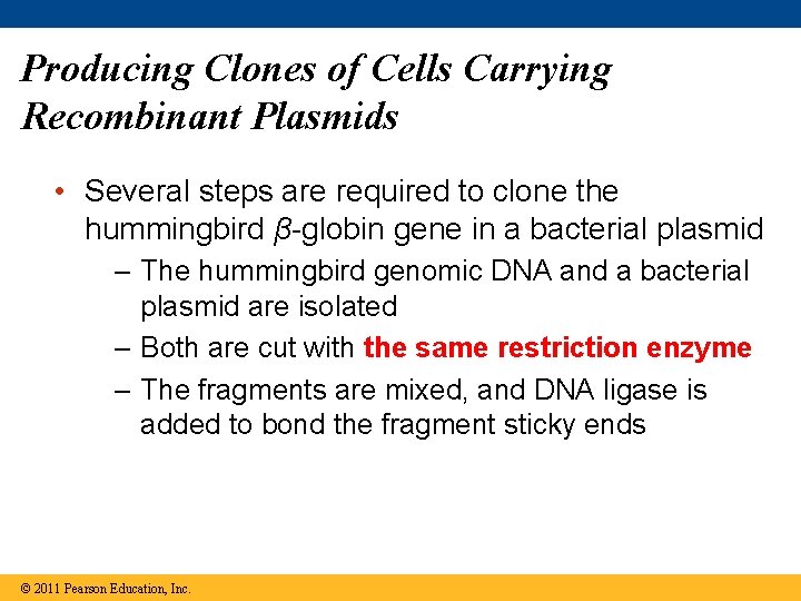 Producing Clones of Cells Carrying Recombinant Plasmids • Several steps are required to clone