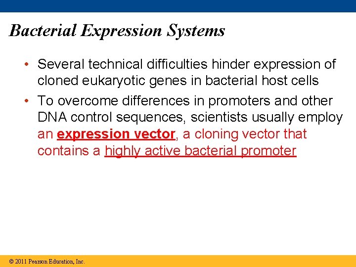 Bacterial Expression Systems • Several technical difficulties hinder expression of cloned eukaryotic genes in