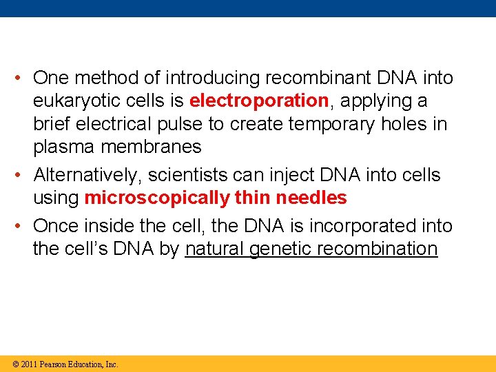  • One method of introducing recombinant DNA into eukaryotic cells is electroporation, applying