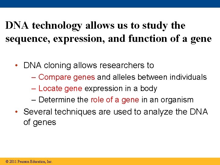 DNA technology allows us to study the sequence, expression, and function of a gene