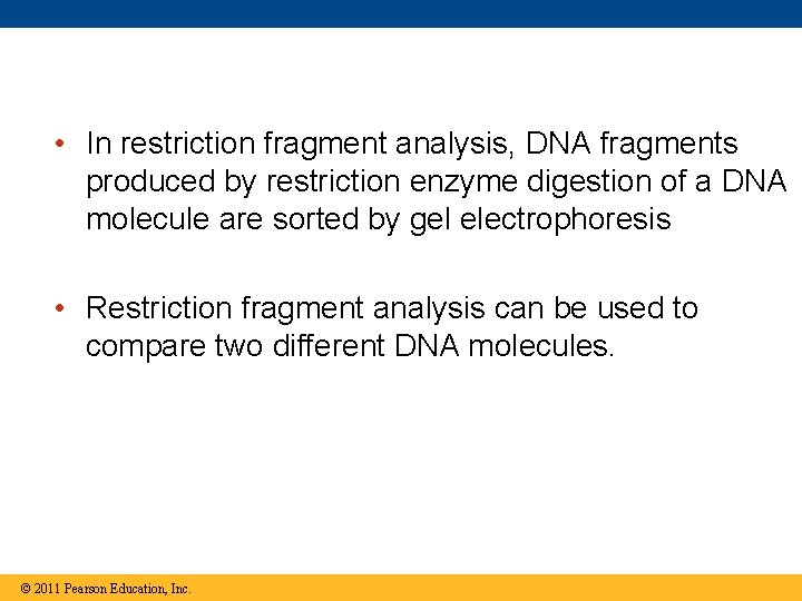  • In restriction fragment analysis, DNA fragments produced by restriction enzyme digestion of