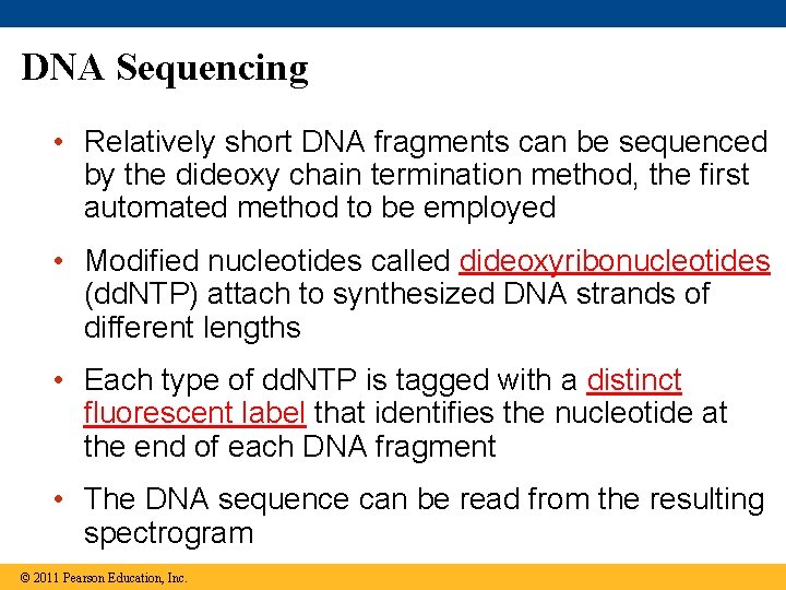 DNA Sequencing • Relatively short DNA fragments can be sequenced by the dideoxy chain