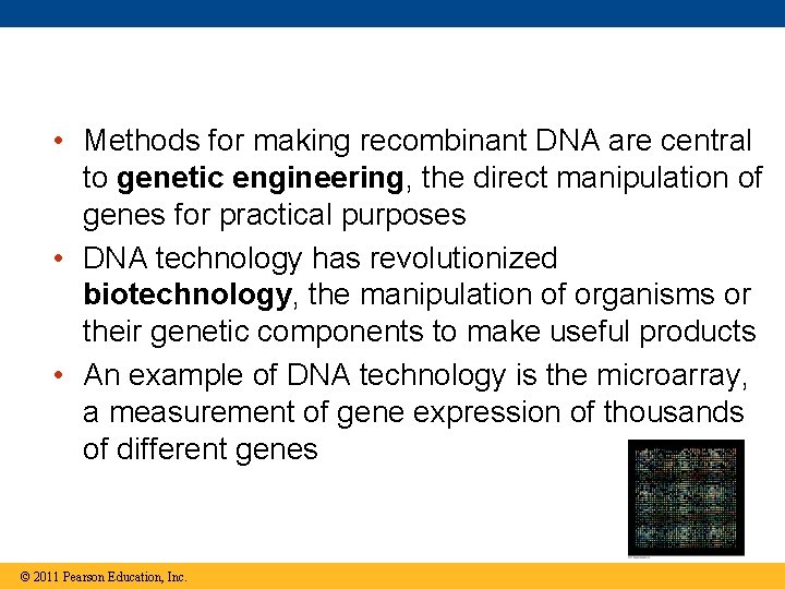  • Methods for making recombinant DNA are central to genetic engineering, the direct