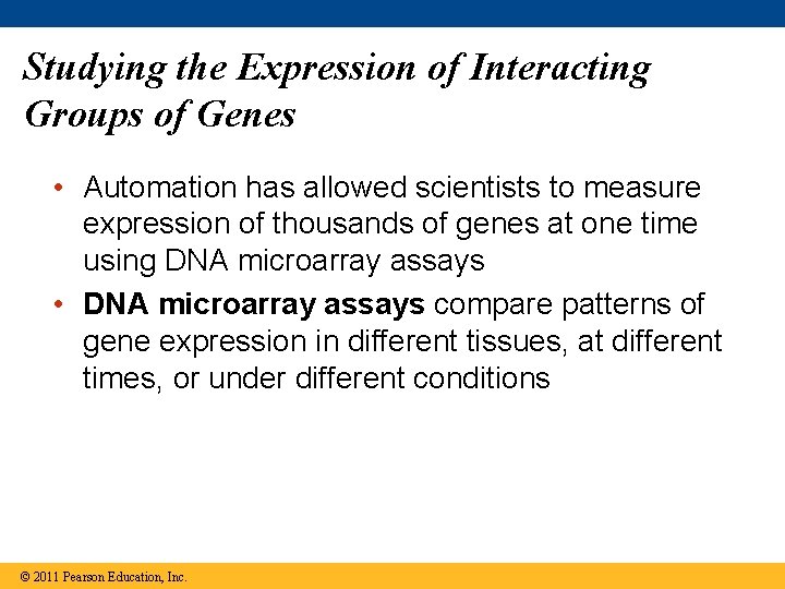 Studying the Expression of Interacting Groups of Genes • Automation has allowed scientists to