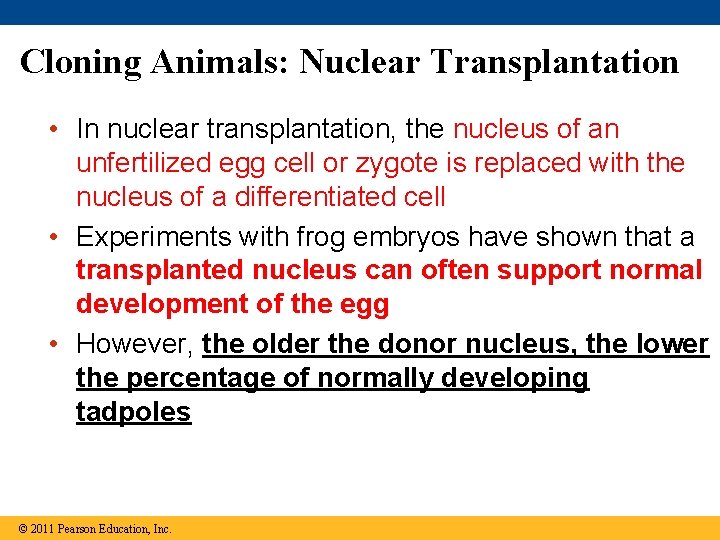 Cloning Animals: Nuclear Transplantation • In nuclear transplantation, the nucleus of an unfertilized egg