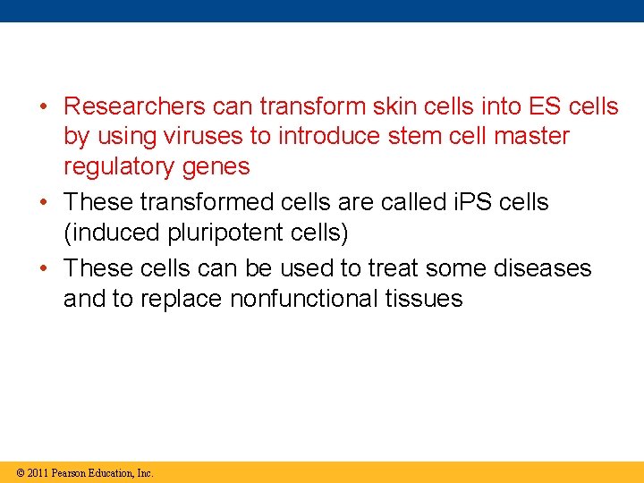  • Researchers can transform skin cells into ES cells by using viruses to