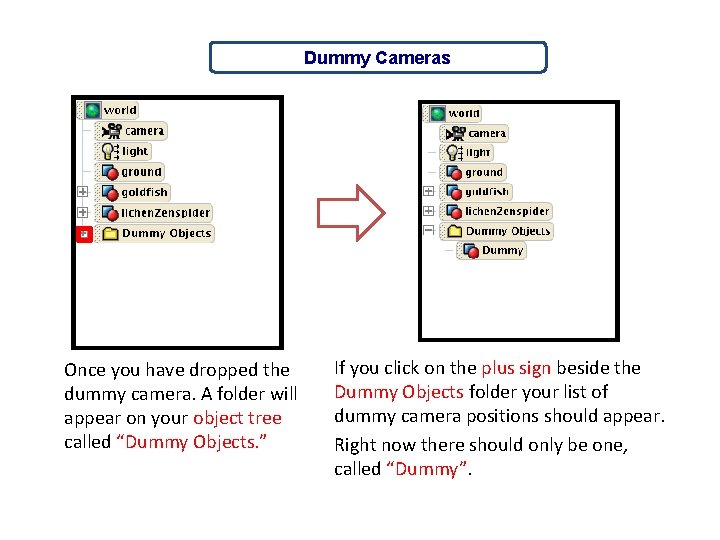 Dummy Cameras Once you have dropped the dummy camera. A folder will appear on