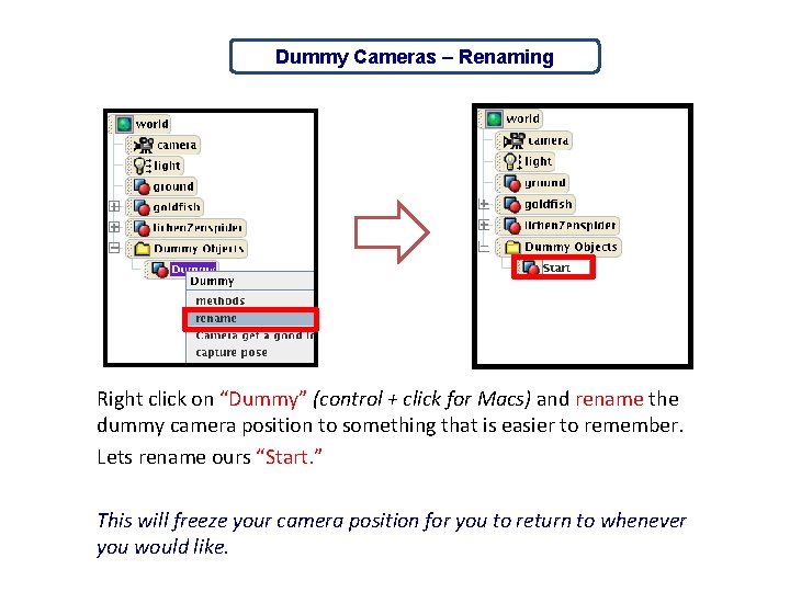 Dummy Cameras – Renaming Right click on “Dummy” (control + click for Macs) and