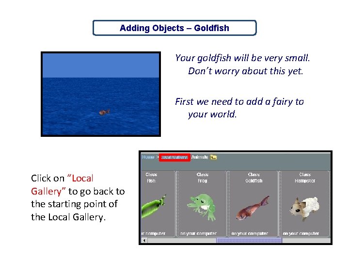 Adding Objects – Goldfish Your goldfish will be very small. Don’t worry about this