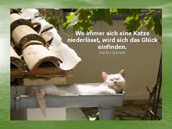 Wo immer sich eine Katze niederlässt, wird sich das Glück einfinden. Stanley Spencer 