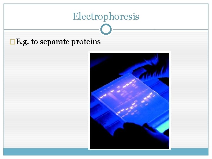 Electrophoresis �E. g. to separate proteins 