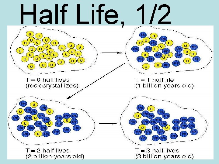 Half Life, 1/2 
