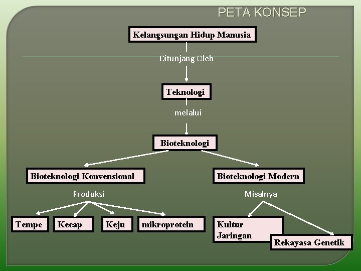 PETA KONSEP Kelangsungan Hidup Manusia Ditunjang Oleh Teknologi melalui Bioteknologi Konvensional Bioteknologi Modern Produksi