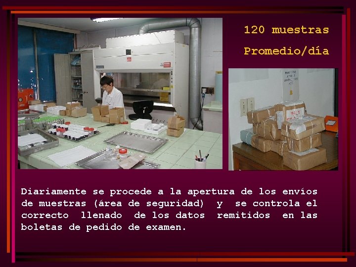 120 muestras Promedio/día Diariamente se procede a la apertura de los envíos de muestras