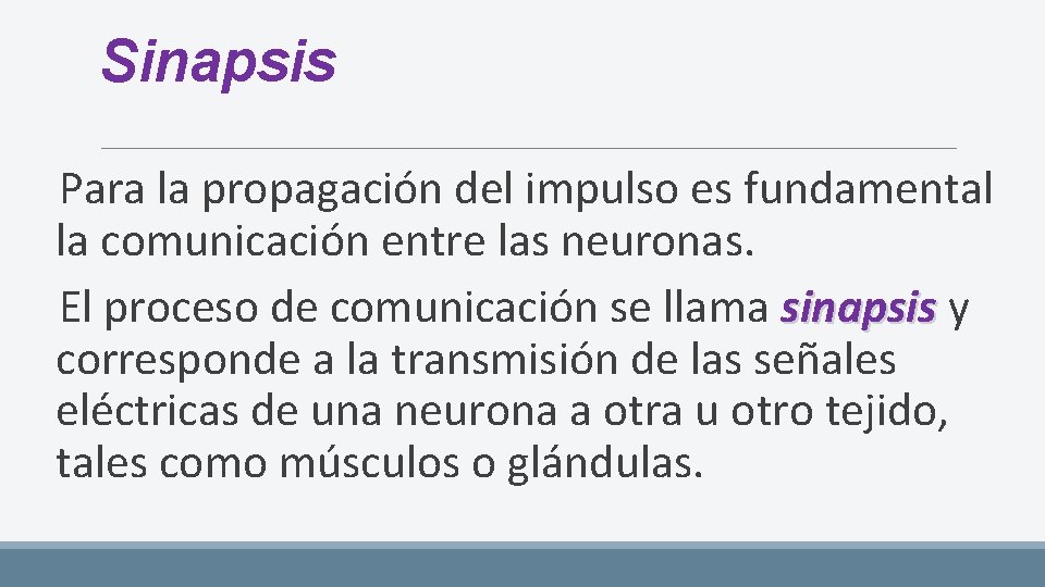 Sinapsis Para la propagación del impulso es fundamental la comunicación entre las neuronas. El