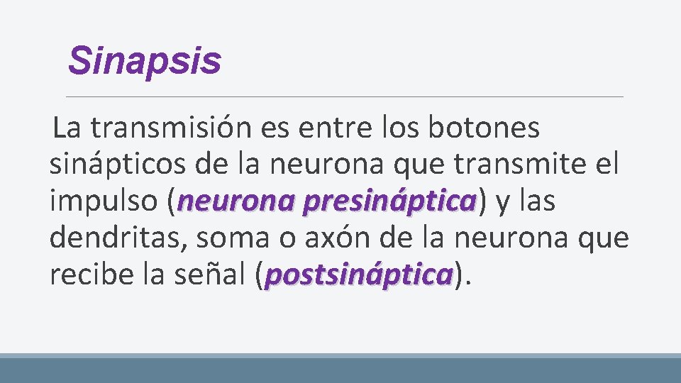 Sinapsis La transmisión es entre los botones sinápticos de la neurona que transmite el