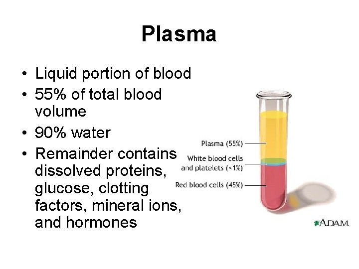 Plasma • Liquid portion of blood • 55% of total blood volume • 90%