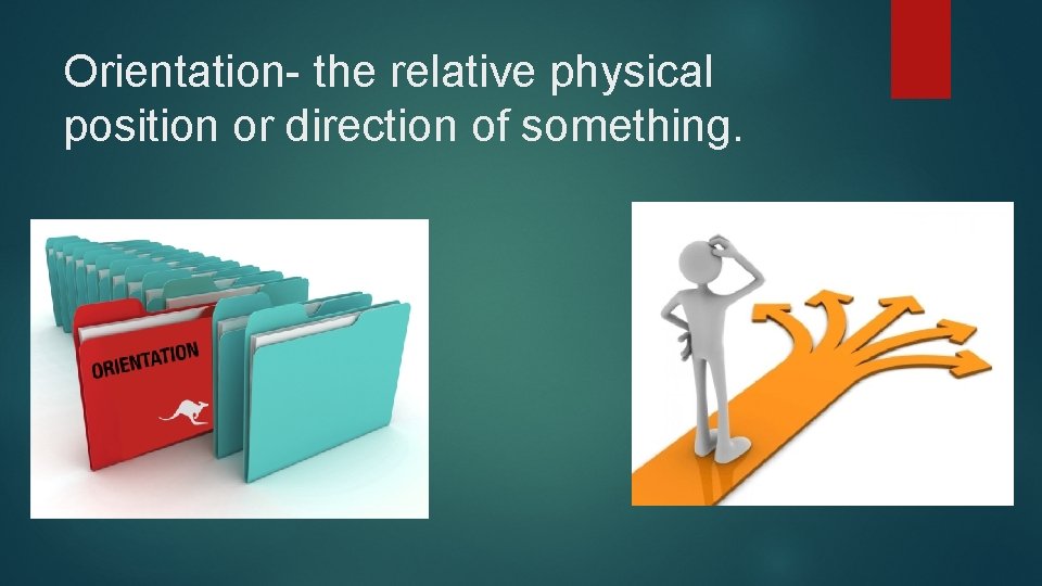 Orientation- the relative physical position or direction of something. 