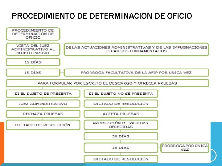 PROCEDIMIENTO DE DETERMINACION DE OFICIO Expositor: Dr. Ricardo M. Chicolino 45 