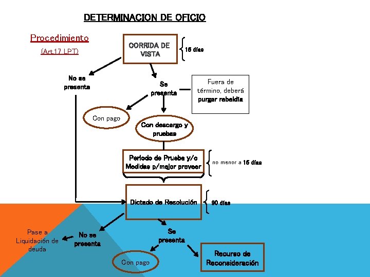 DETERMINACION DE OFICIO Procedimiento CORRIDA DE VISTA (Art. 17 LPT) No se presenta 15