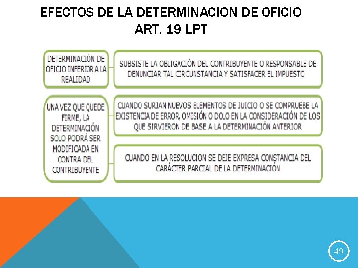EFECTOS DE LA DETERMINACION DE OFICIO ART. 19 LPT 49 