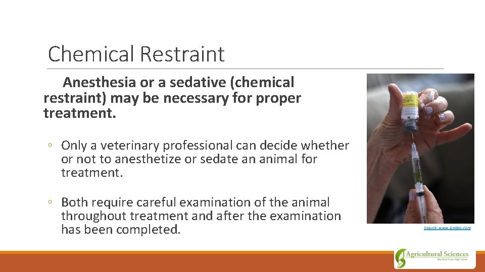 Chemical Restraint Anesthesia or a sedative (chemical restraint) may be necessary for proper treatment.