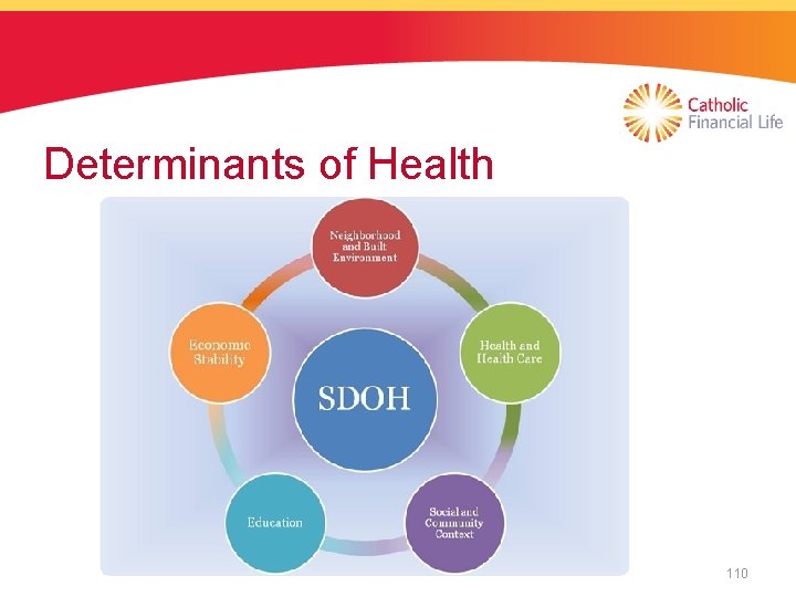 Determinants of Health 110 