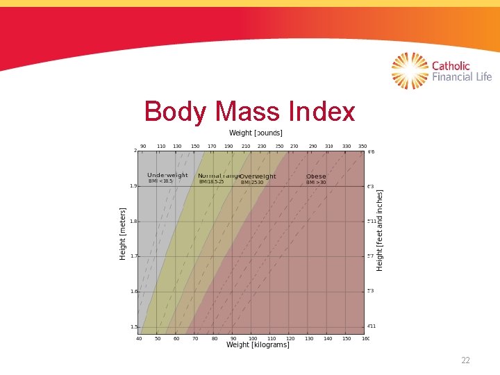 Body Mass Index 22 