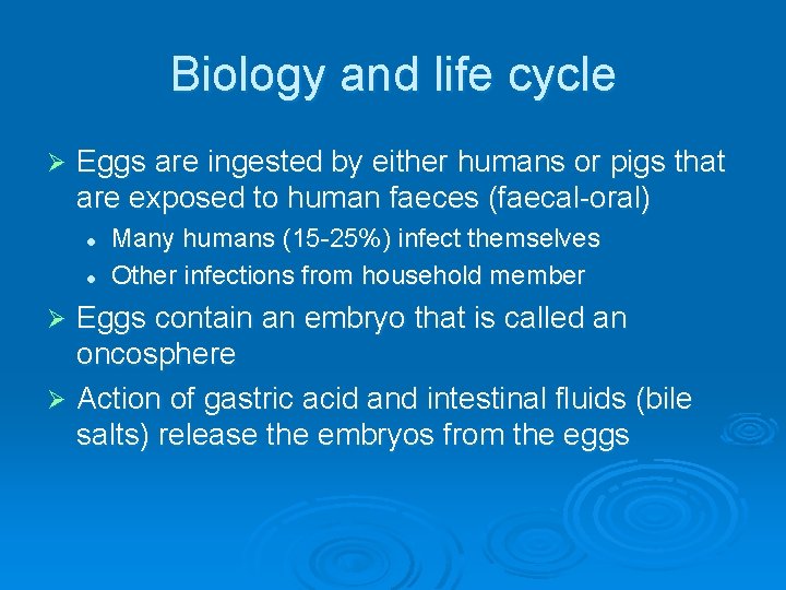 Biology and life cycle Ø Eggs are ingested by either humans or pigs that