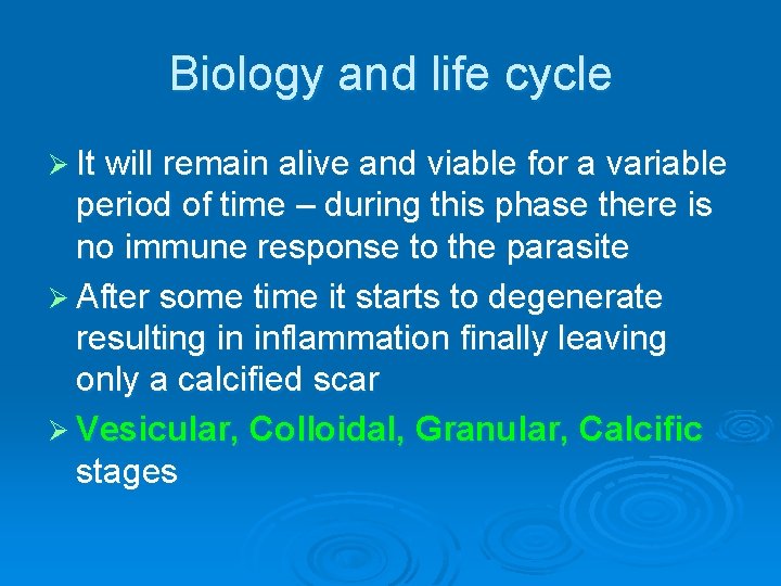 Biology and life cycle Ø It will remain alive and viable for a variable
