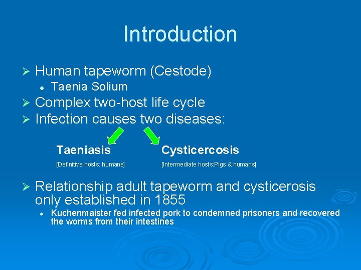 Introduction Ø Human tapeworm (Cestode) l Ø Ø Ø Taenia Solium Complex two-host life