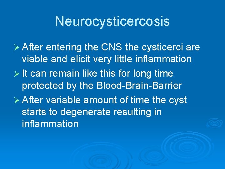 Neurocysticercosis Ø After entering the CNS the cysticerci are viable and elicit very little