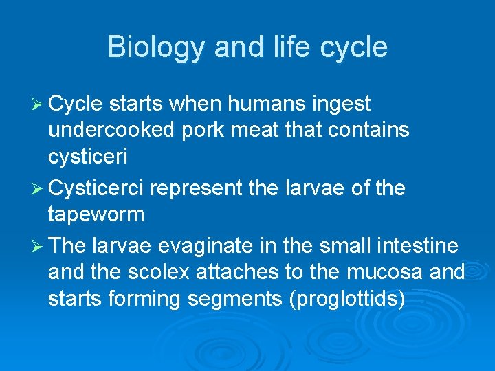 Biology and life cycle Ø Cycle starts when humans ingest undercooked pork meat that