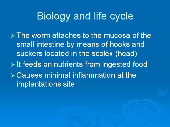 Biology and life cycle Ø The worm attaches to the mucosa of the small