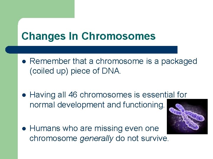 Changes In Chromosomes l Remember that a chromosome is a packaged (coiled up) piece