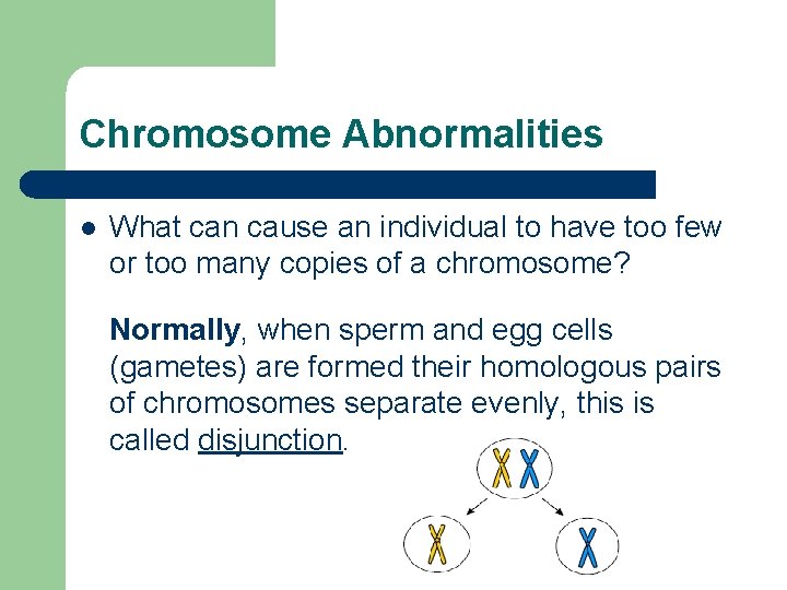 Chromosome Abnormalities l What can cause an individual to have too few or too
