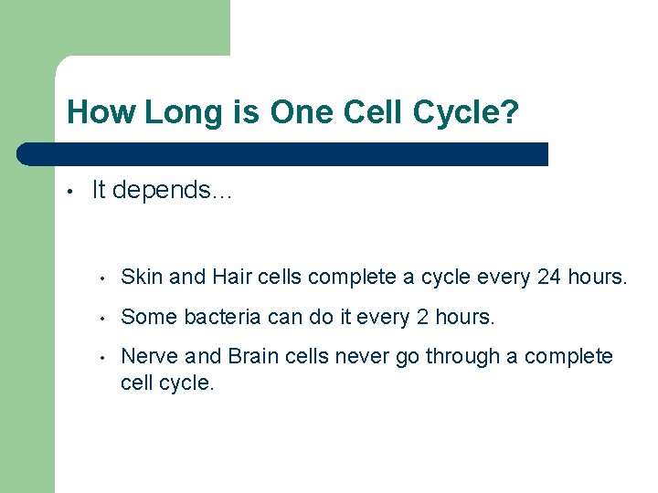 How Long is One Cell Cycle? • It depends… • Skin and Hair cells