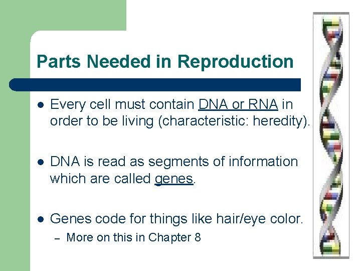 Parts Needed in Reproduction l Every cell must contain DNA or RNA in order