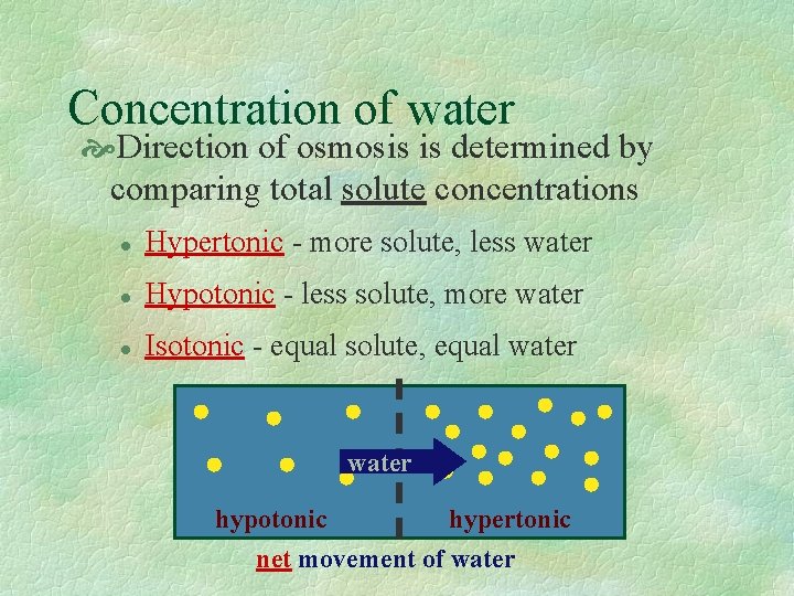 Concentration of water Direction of osmosis is determined by comparing total solute concentrations l