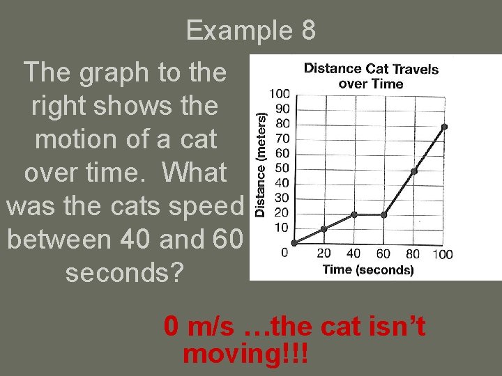 Example 8 The graph to the right shows the motion of a cat over