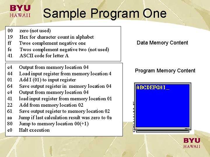 Sample Program One 00 19 ff fe 41 zero (not used) Hex for character Sample Program One 00 19 ff fe 41 zero (not used) Hex for character