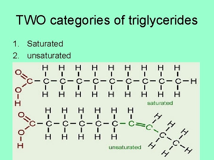 TWO categories of triglycerides 1. Saturated 2. unsaturated 