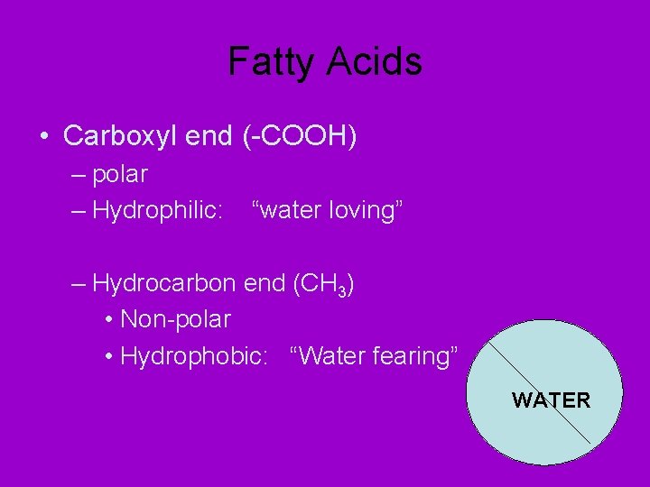 Fatty Acids • Carboxyl end (-COOH) – polar – Hydrophilic: “water loving” – Hydrocarbon