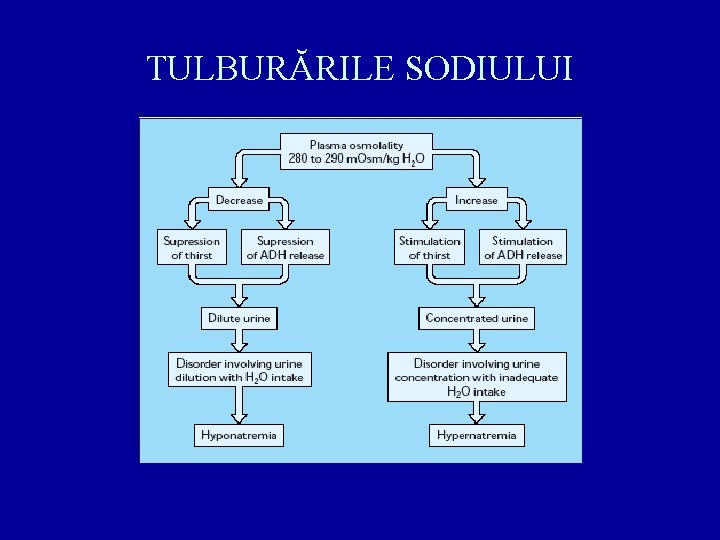 TULBURĂRILE SODIULUI 