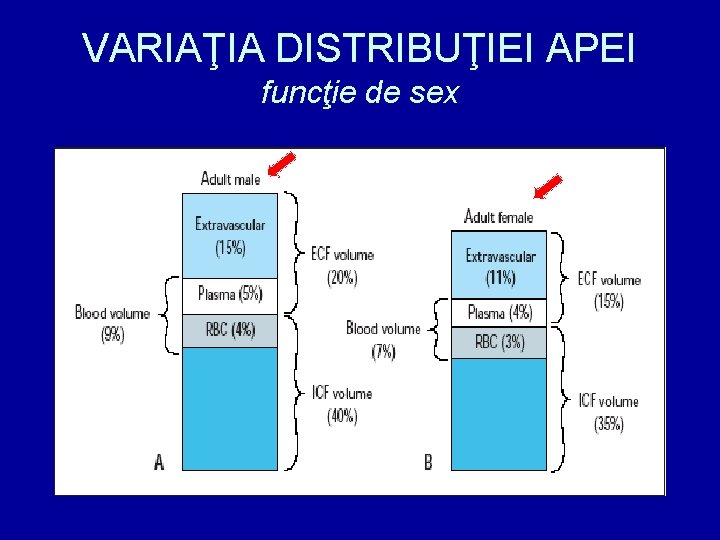 VARIAŢIA DISTRIBUŢIEI APEI funcţie de sex 