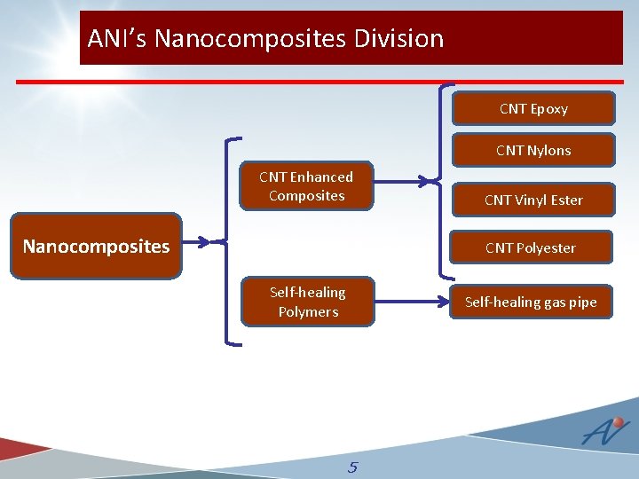 ANI’s Nanocomposites Division CNT Epoxy CNT Nylons CNT Enhanced Composites Nanocomposites CNT Vinyl Ester