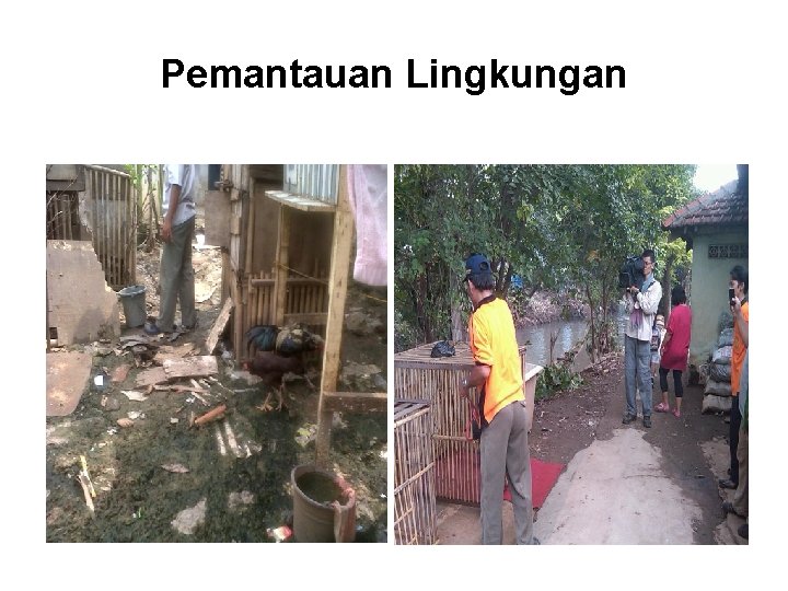 Pemantauan Lingkungan 
