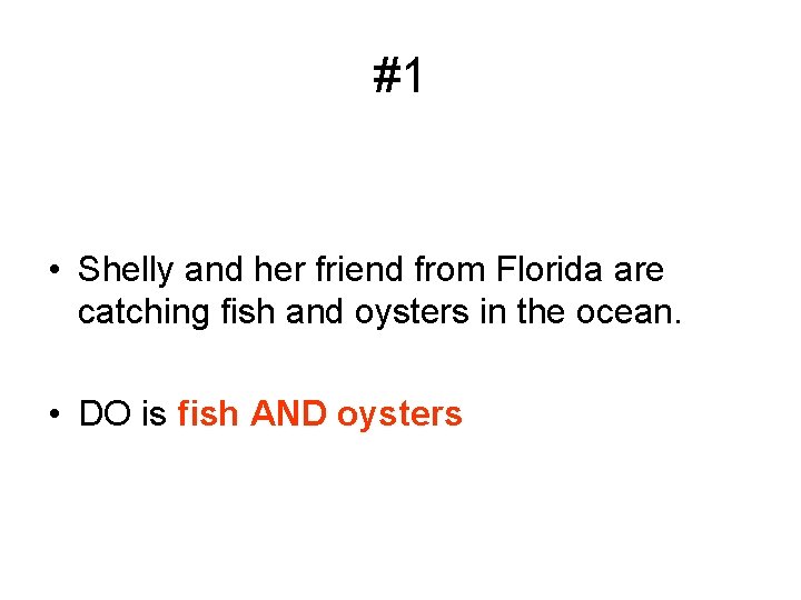 #1 • Shelly and her friend from Florida are catching fish and oysters in